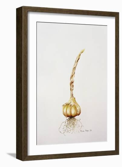 Onion, 1998-Alison Cooper-Framed Giclee Print