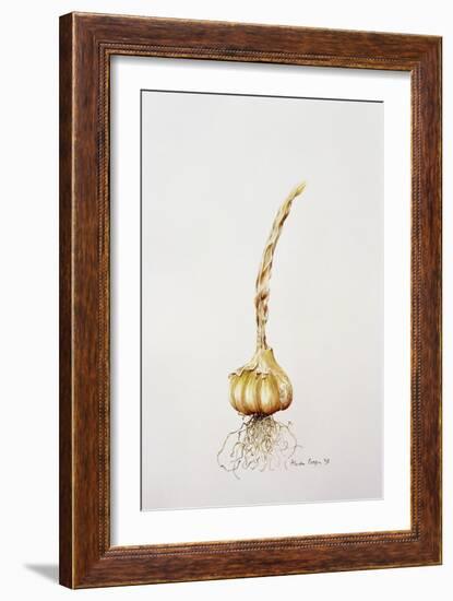 Onion, 1998-Alison Cooper-Framed Giclee Print