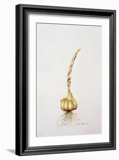 Onion, 1998-Alison Cooper-Framed Giclee Print