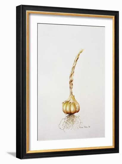 Onion, 1998-Alison Cooper-Framed Giclee Print