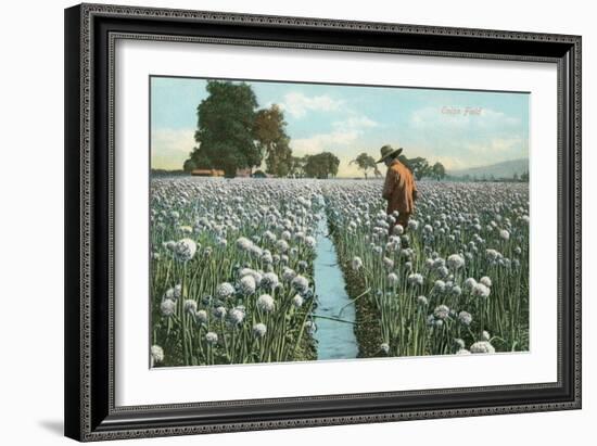 Onion Field-null-Framed Art Print