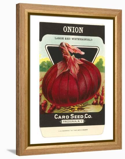 Onion Seed Packet-null-Framed Stretched Canvas