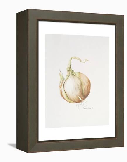 Onion Study, 1993-Alison Cooper-Framed Premier Image Canvas