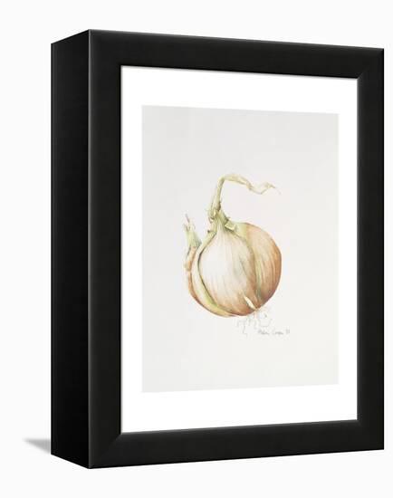 Onion Study, 1993-Alison Cooper-Framed Premier Image Canvas