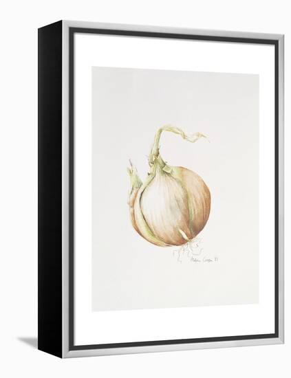 Onion Study, 1993-Alison Cooper-Framed Premier Image Canvas