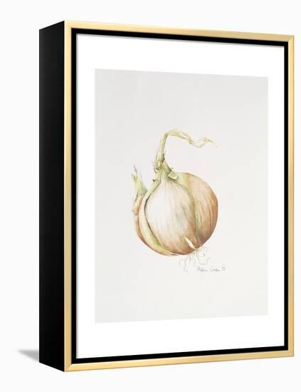 Onion Study, 1993-Alison Cooper-Framed Premier Image Canvas