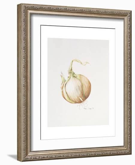 Onion Study, 1993-Alison Cooper-Framed Giclee Print