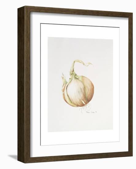 Onion Study, 1993-Alison Cooper-Framed Giclee Print