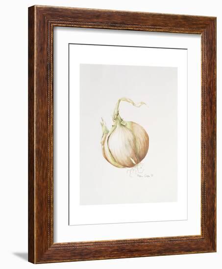 Onion Study, 1993-Alison Cooper-Framed Giclee Print