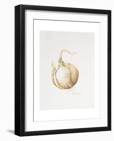 Onion Study, 1993-Alison Cooper-Framed Giclee Print