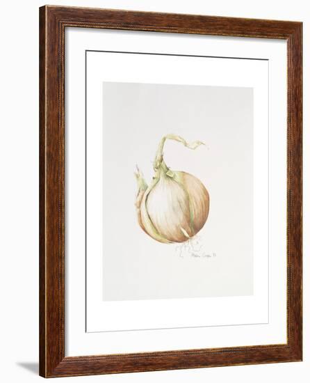 Onion Study, 1993-Alison Cooper-Framed Giclee Print