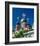 Onion towers, Moscow, Russia-null-Framed Art Print