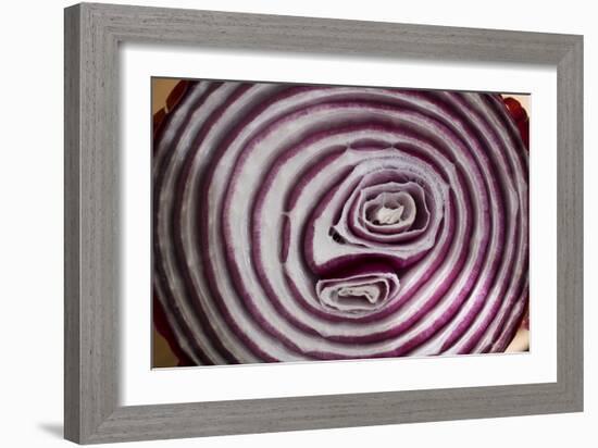 Onion-Charles Bowman-Framed Photographic Print