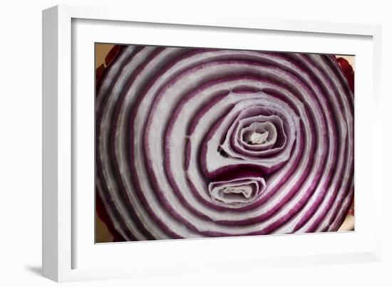 Onion-Charles Bowman-Framed Photographic Print