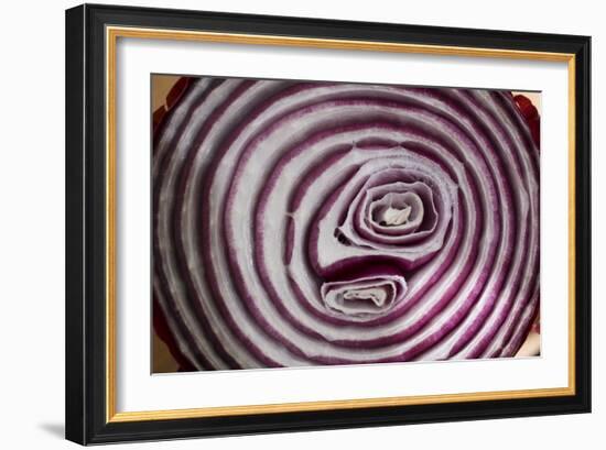 Onion-Charles Bowman-Framed Photographic Print