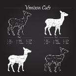 Venison Meat Cut Diagram Scheme-ONiONAstudio-Art Print