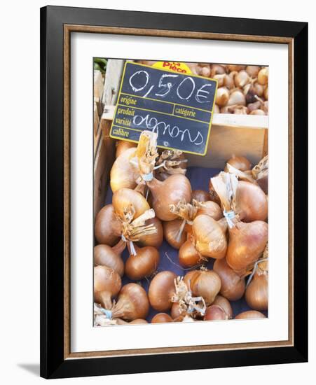 Onions at Market Stall, Bergerac, Dordogne, France-Per Karlsson-Framed Photographic Print
