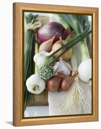 Onions, Chives and Garlic Chives-null-Framed Premier Image Canvas