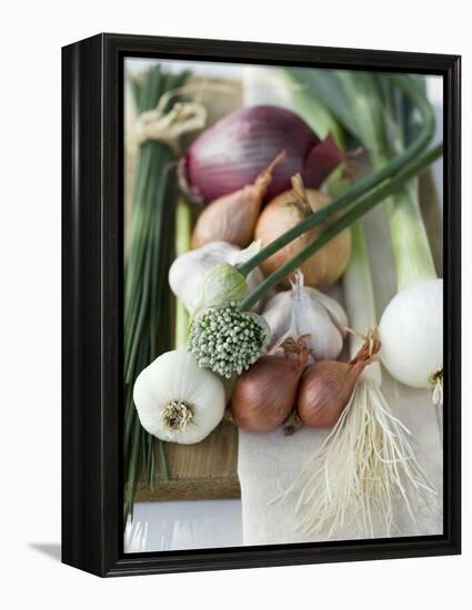 Onions, Chives and Garlic Chives-null-Framed Premier Image Canvas