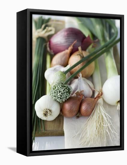 Onions, Chives and Garlic Chives-null-Framed Premier Image Canvas