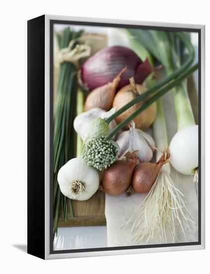 Onions, Chives and Garlic Chives-null-Framed Premier Image Canvas