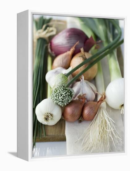 Onions, Chives and Garlic Chives-null-Framed Premier Image Canvas