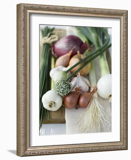 Onions, Chives and Garlic Chives-null-Framed Photographic Print