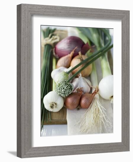 Onions, Chives and Garlic Chives-null-Framed Photographic Print