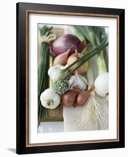 Onions, Chives and Garlic Chives-null-Framed Photographic Print