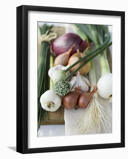 Onions, Chives and Garlic Chives-null-Framed Photographic Print