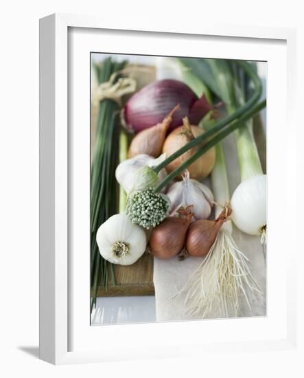 Onions, Chives and Garlic Chives-null-Framed Photographic Print