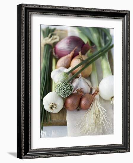 Onions, Chives and Garlic Chives-null-Framed Photographic Print