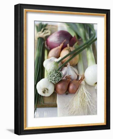 Onions, Chives and Garlic Chives-null-Framed Photographic Print