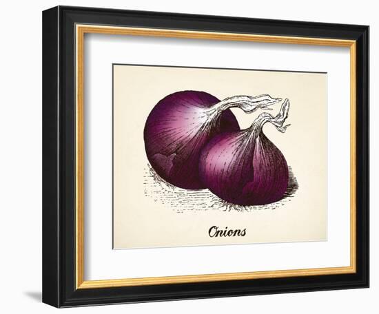 Onions Vintage Illustration, Red Onions Vector Image after Vintage Illustration from Brockhaus' Kon-Oliver Hoffmann-Framed Art Print