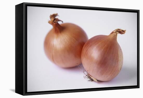Onions-Veronique Leplat-Framed Premier Image Canvas