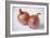 Onions-Veronique Leplat-Framed Photographic Print