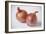 Onions-Veronique Leplat-Framed Photographic Print