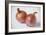 Onions-Veronique Leplat-Framed Photographic Print