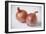 Onions-Veronique Leplat-Framed Photographic Print