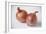 Onions-Veronique Leplat-Framed Photographic Print