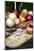 Onions-null-Mounted Photographic Print