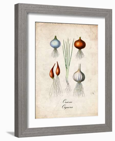 Onions-null-Framed Premium Giclee Print