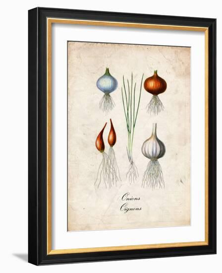 Onions-null-Framed Premium Giclee Print