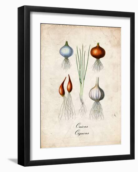 Onions-null-Framed Art Print