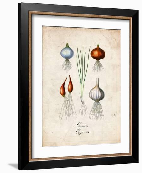 Onions-null-Framed Art Print