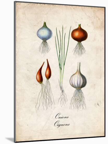 Onions-null-Mounted Art Print