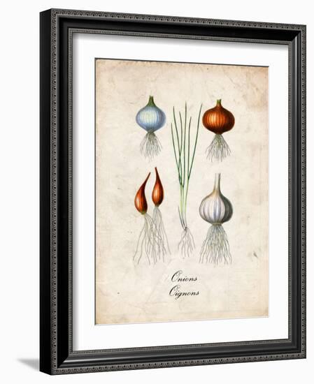 Onions-null-Framed Art Print