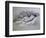 Only a Fool Would Let You Back In-Nobu Haihara-Framed Giclee Print