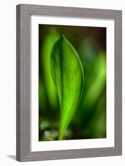 Only in Spring-Ursula Abresch-Framed Photographic Print