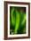 Only in Spring-Ursula Abresch-Framed Photographic Print